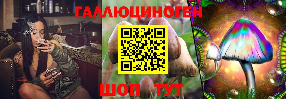 Астрахань  наркотики  Вход с VPN  Псилоцибиновые грибы прущие грибы 